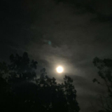 Odin - BLUE HOUR '2024