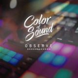 Color of Sound - Observe '2024