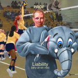 Prof - Liability '2015