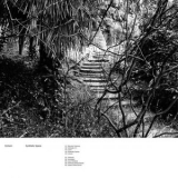 Echium - Synthetic Space '2017