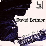 David Brimer - Strange Birds '2026