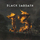 Black Sabbath - 13 '2013